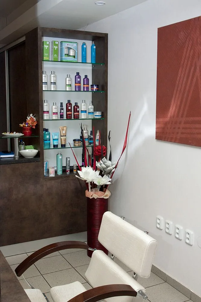 Mycí box salonu